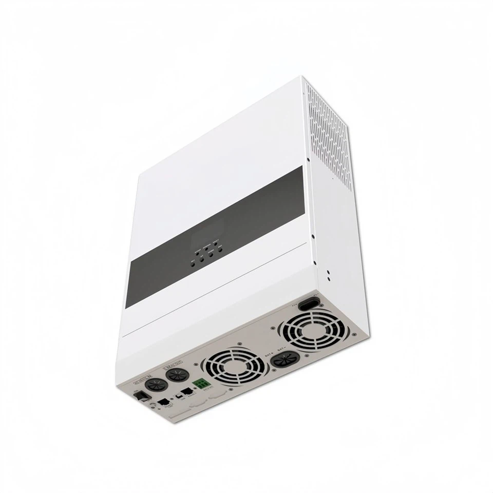 3kW 48V Pure Sine Wave European Standard Off Grid Inverter-3