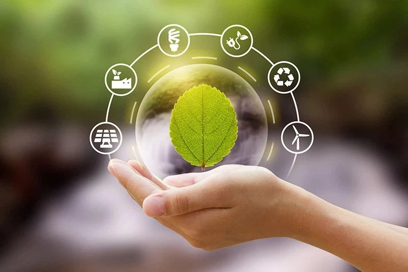 24V 100Ah - 756Ah LiFePO4 Forklift Battery-9 24V 100Ah - 756Ah LiFePO4 Forklift Battery-9